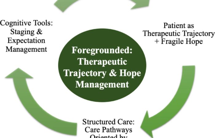 【最新研究消息】嚴如玉教授發表論文 Tool-mediated patienthood: structural plurality in oncology, surgery, and palliative care